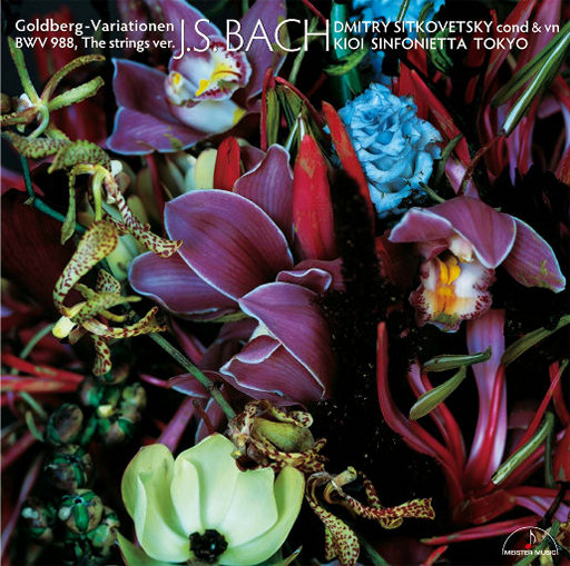 黄片一级的黄片下载的
